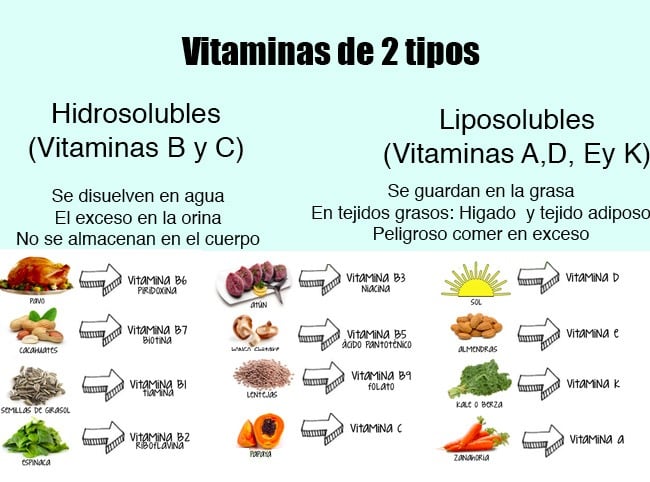 Potencia la salud capilar con la combinación de biotina vitamina E y