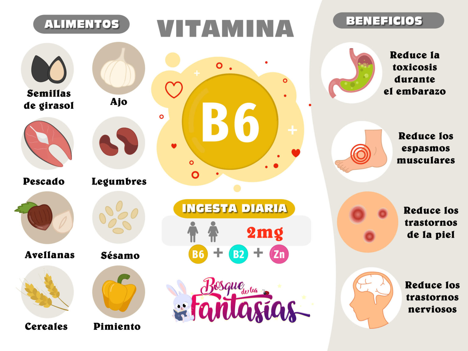 Beneficios Y Funciones De Las Vitaminas B2, B6 Y B12 En El Cuerpo Humano