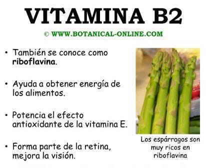 Beneficios Y Usos De La Vitamina B2 Riboflavina Para Tu Salud.