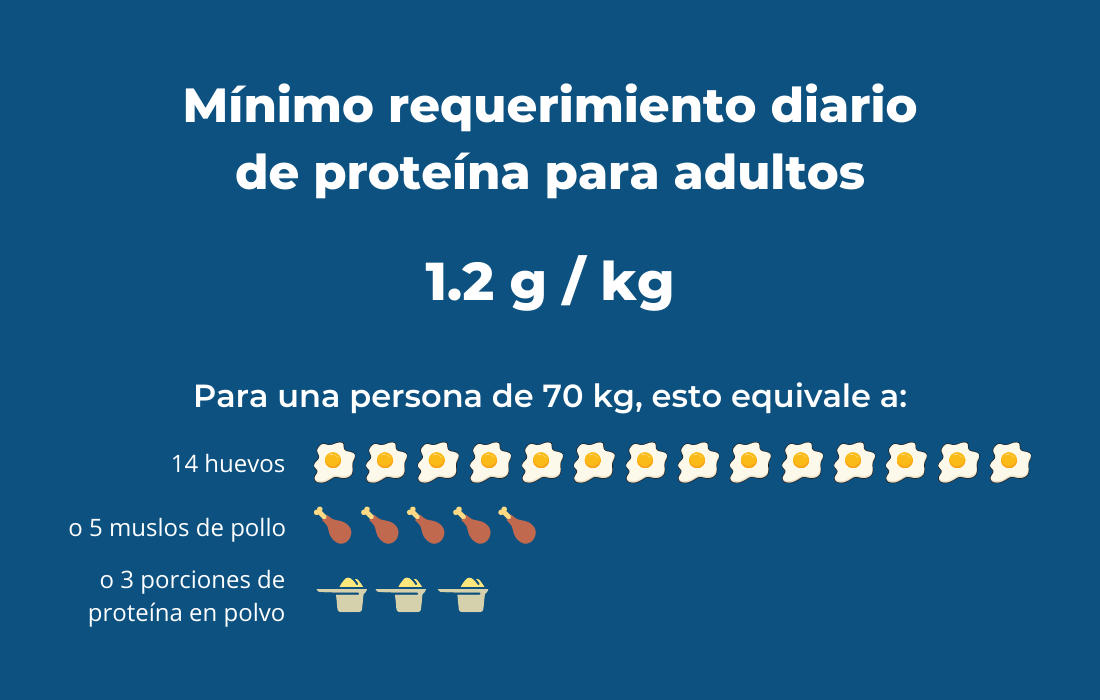 ¿cuántos Gramos De Proteína Necesitas Para Tu Entrenamiento En El Gimnasioemk 1043