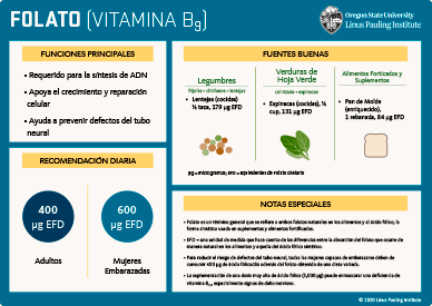 Importancia Del Folato En La Dieta Para Prevenir Defectos Del Tubo Neural.