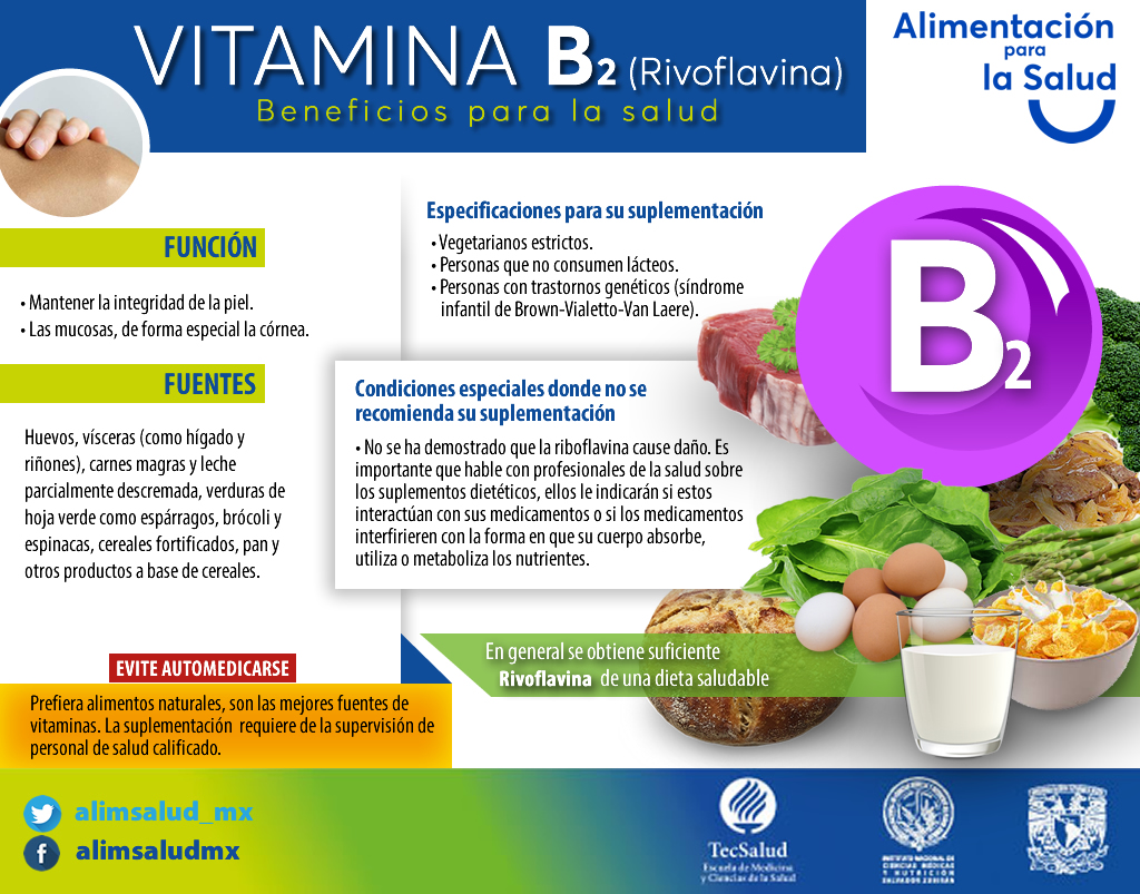 La Importancia De Los Alimentos Ricos En Vitamina B2 Para Una Dieta ...