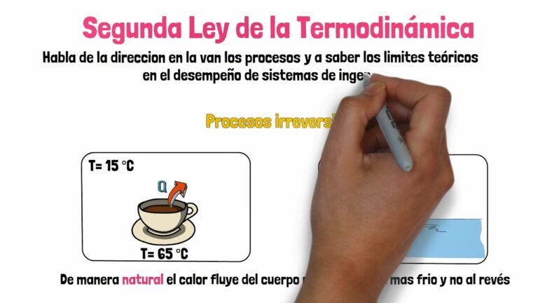 La Segunda Ley De La Termodinámica Principios Y Aplicaciones